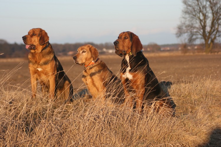 luty 2012 233.jpg