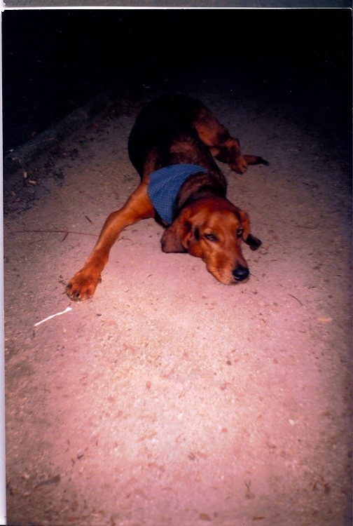 Scannen0116.jpg