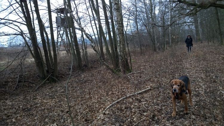WP_20150117_12_48_25_Pro_wynik.jpg