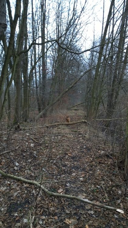 WP_20150117_12_54_45_Pro_wynik.jpg