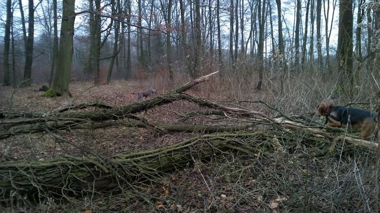 WP_20150117_12_58_38_Pro_wynik.jpg