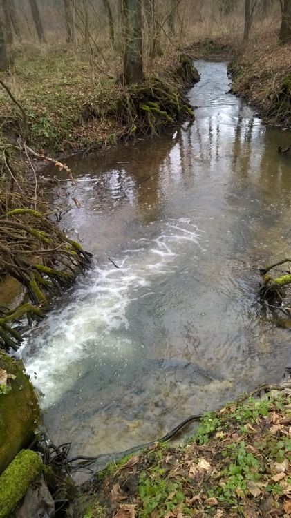 WP_20150117_13_02_56_Pro_wynik.jpg