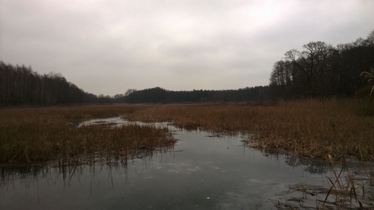WP_20150117_13_05_49_Pro_wynik.jpg
