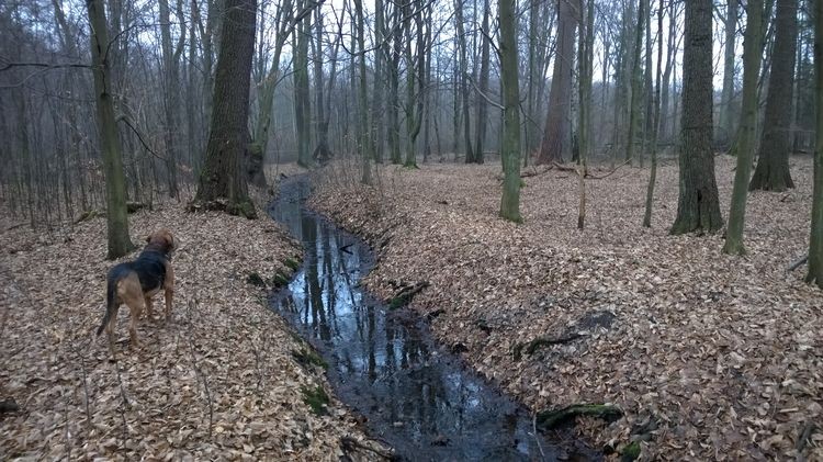 WP_20150117_13_13_59_Pro_wynik.jpg