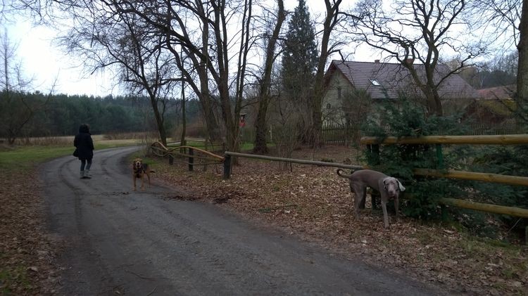 WP_20150117_13_40_58_Pro_wynik.jpg