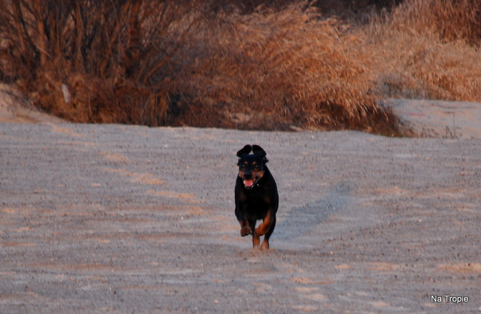 DSC_7291.JPG