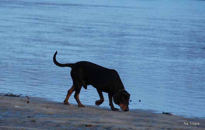 DSC_7307.JPG