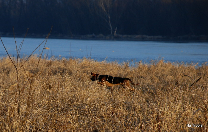 DSC_7330.JPG