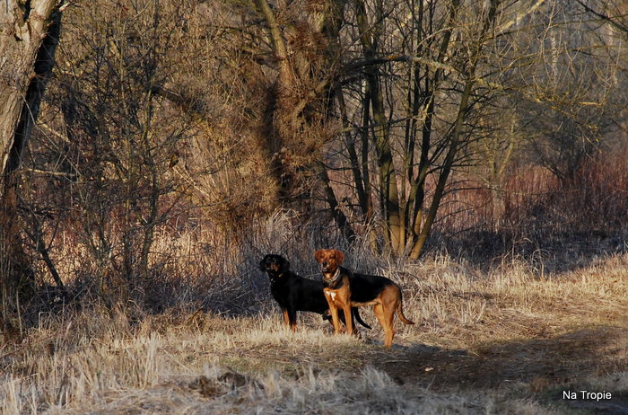 DSC_7348.JPG