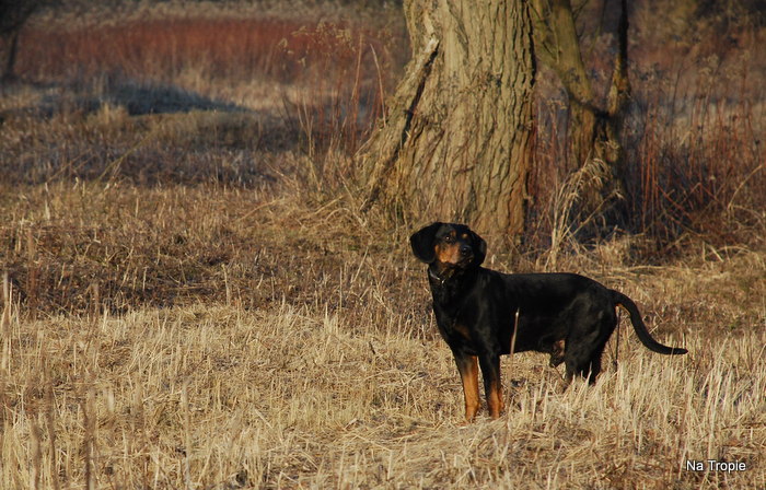 DSC_7358.JPG