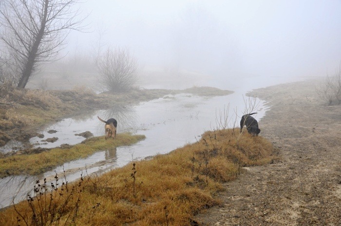 _DSC0076.jpg