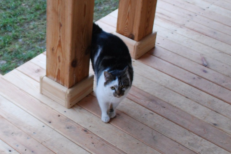 DSC_0029.JPG