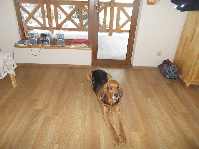 DSCN1251.JPG