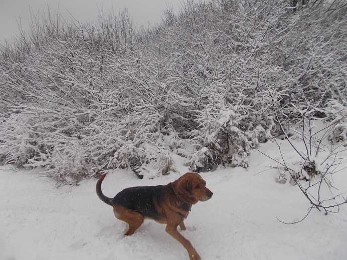 DSCN1273.JPG