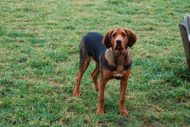 DSC_0008.JPG