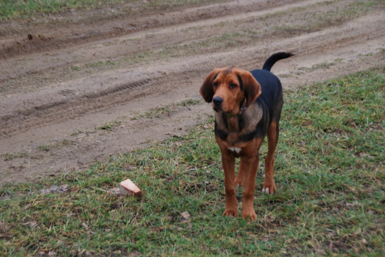 DSC_0018.JPG