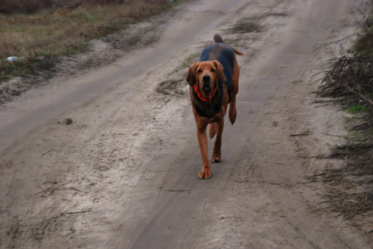 DSC_0020.JPG