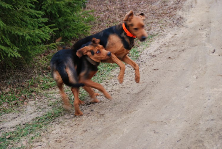 DSC_0034.JPG