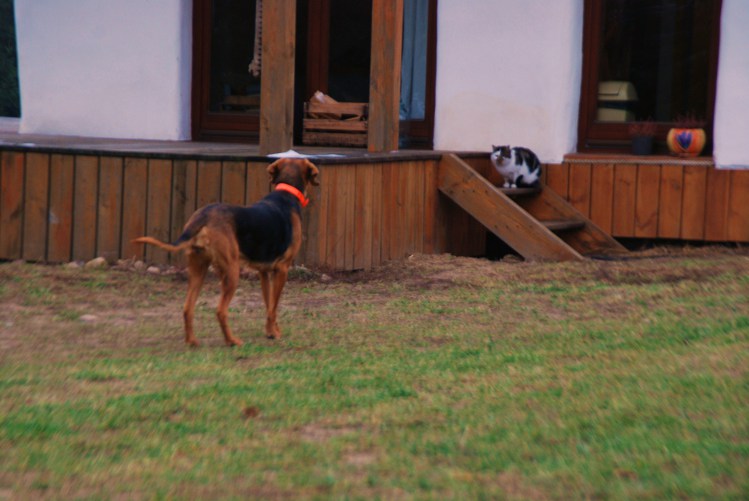 DSC_0043.JPG