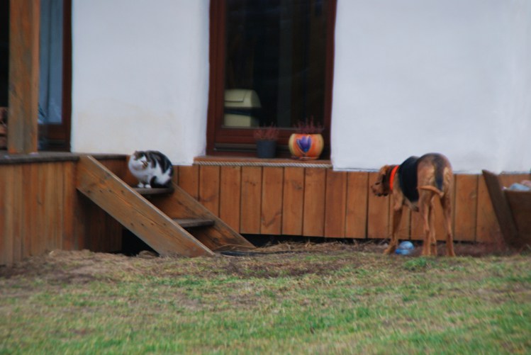 DSC_0044.JPG