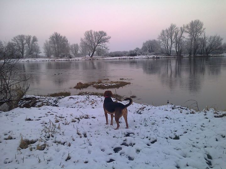 nad Odrą