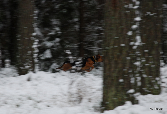 DSC_7395.JPG