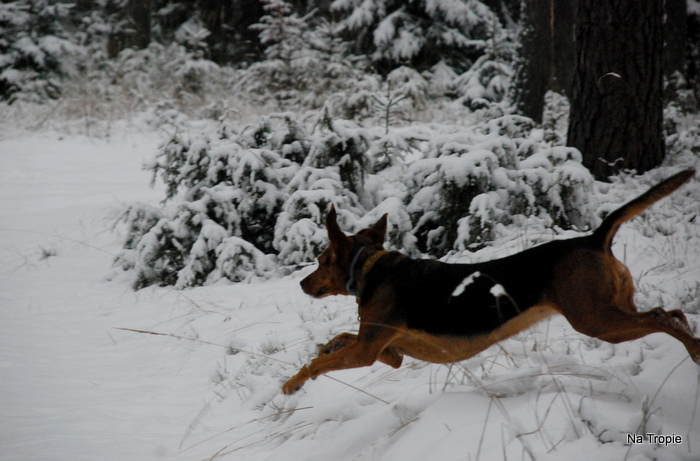 DSC_7410.JPG