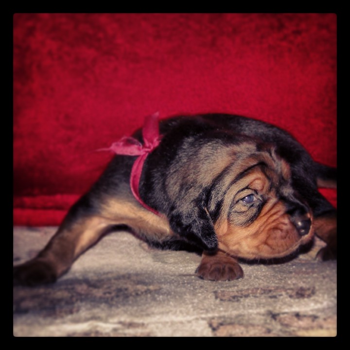 Mona_2014.04.16.jpg