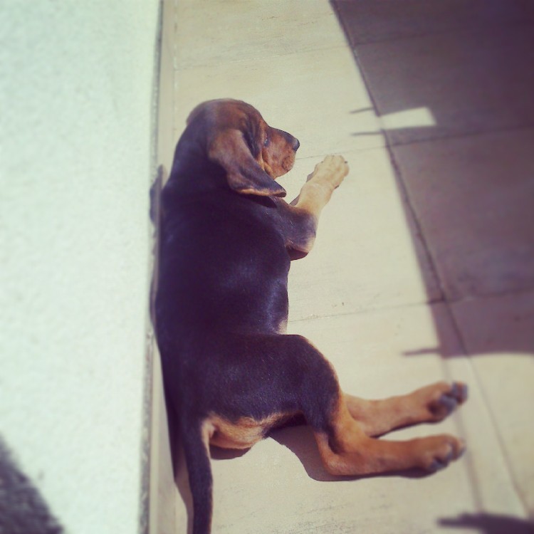 Mona_2014.05.06.jpg