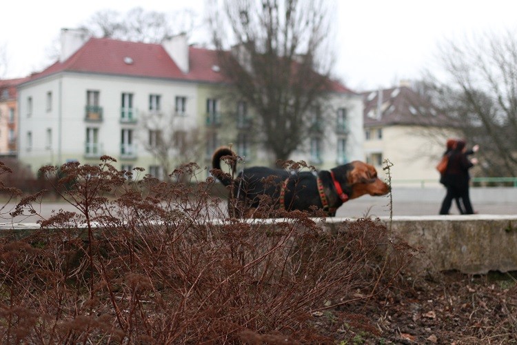 Będzie co wspominać :)