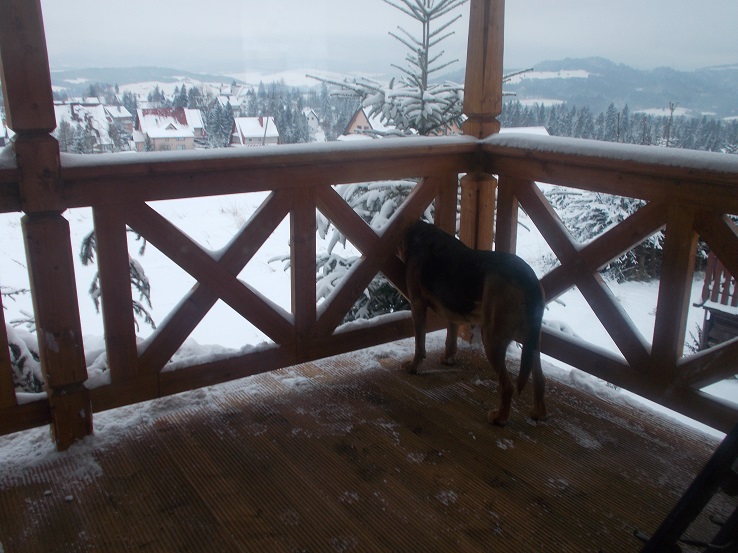 DSCN1277.JPG