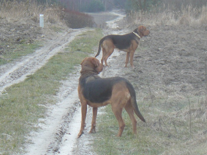 NASZE PIĘKNOTY