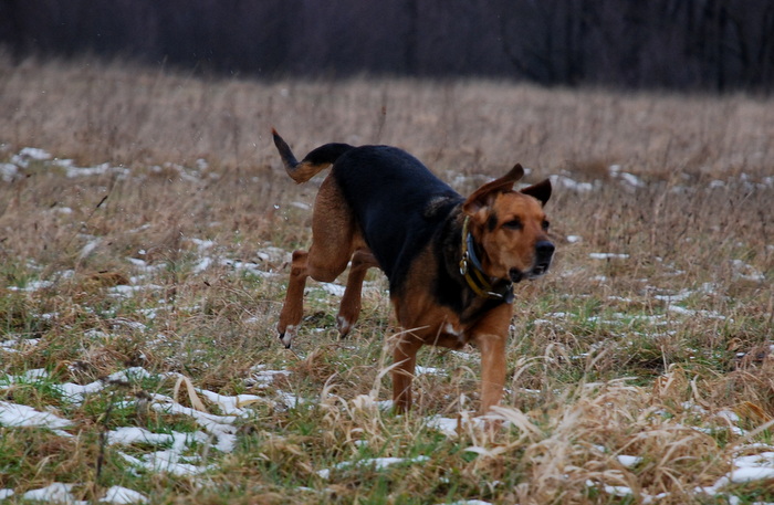 DSC_7478.JPG