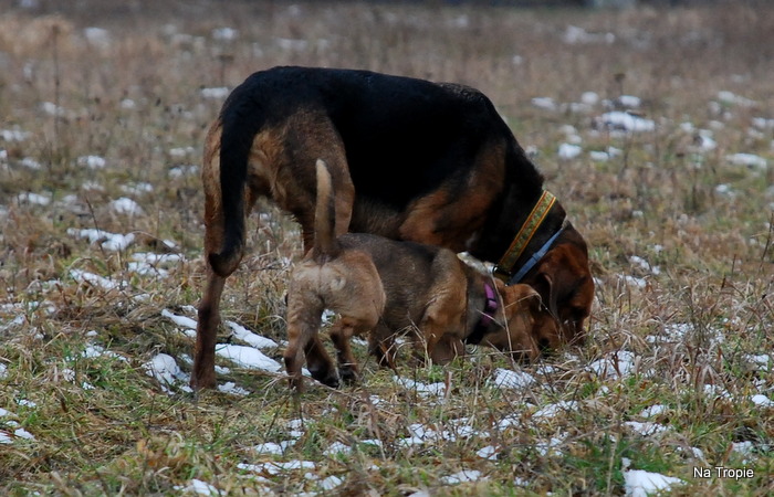 DSC_7508.JPG