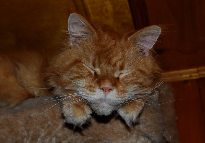 DSC_7569.JPG