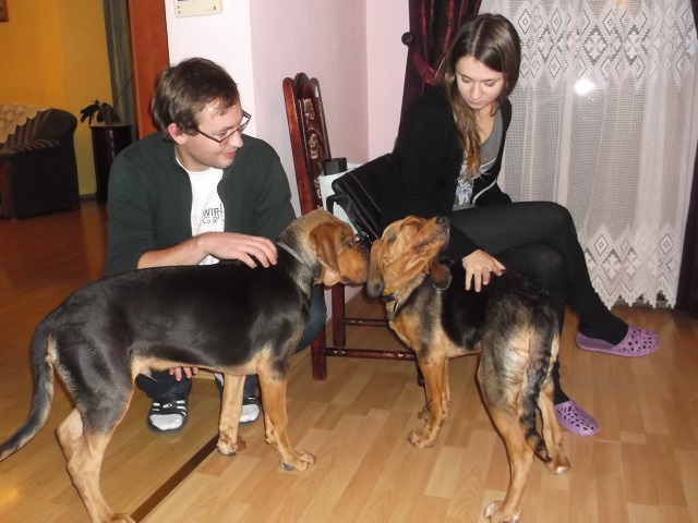 Miziają cudnie.
