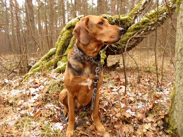 Zamyślona.