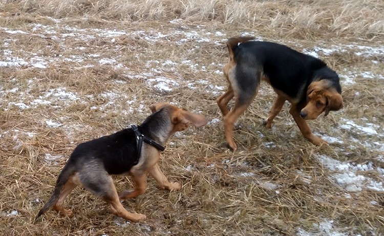 20150201_131047.jpg