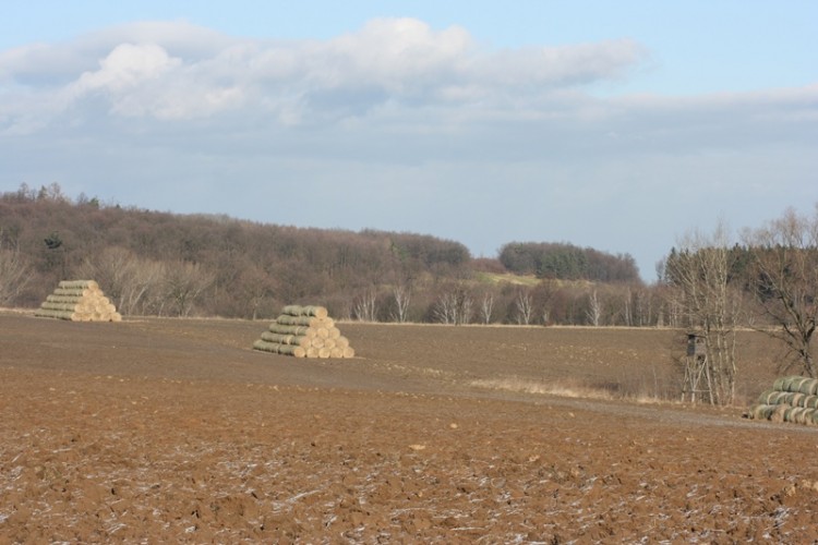 Trochę zabrali łąki i zrobili pole.