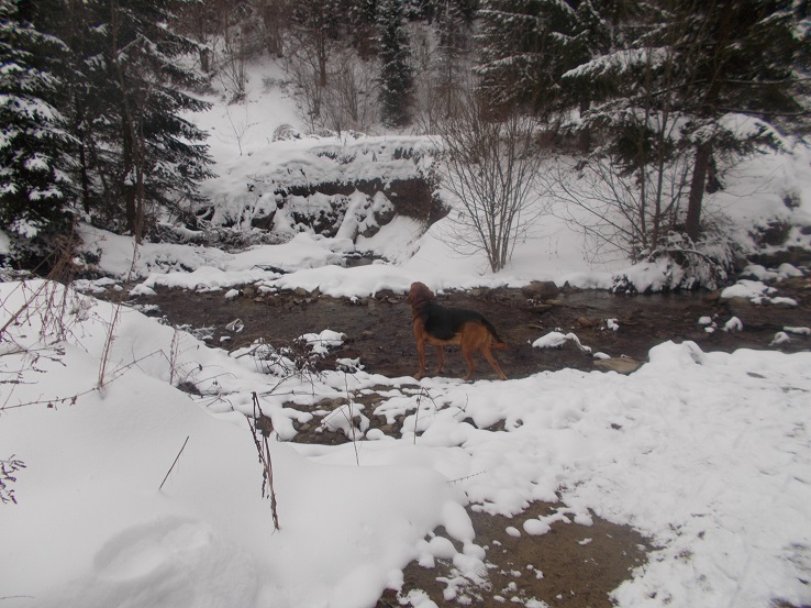 DSCN1304.JPG