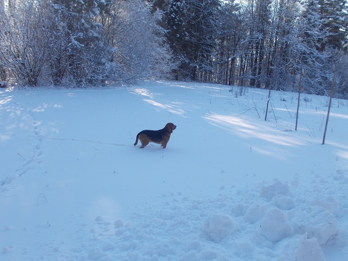 DSCN1367.JPG