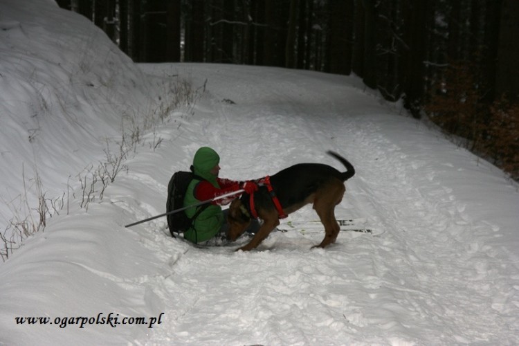 A tak nam dobrze przez cały dzień szło...