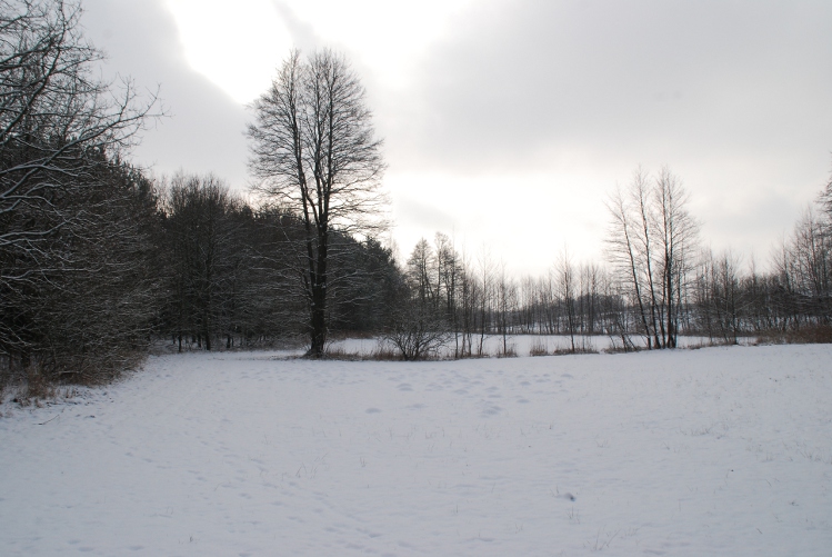 DSC_0019.JPG