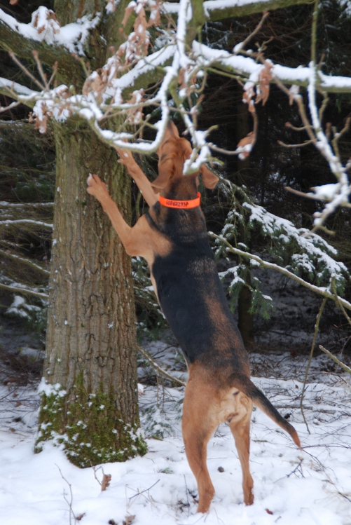 DSC_0022.JPG