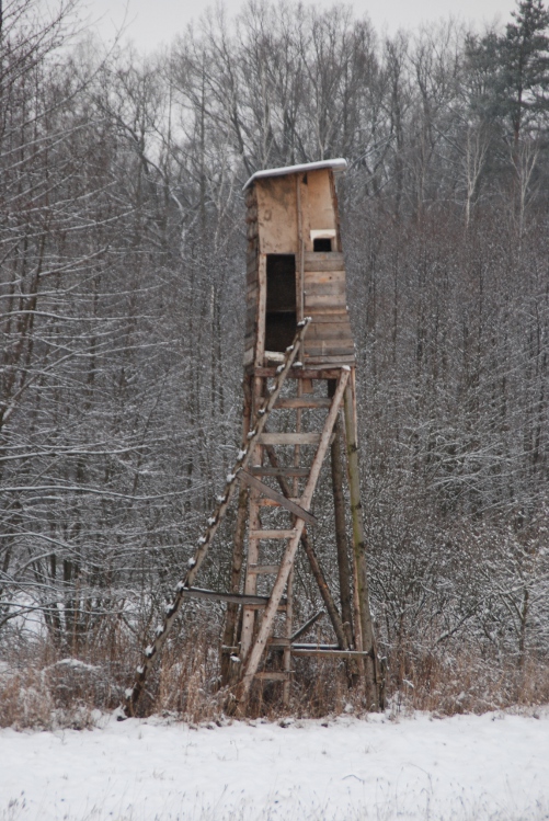 DSC_0029.JPG