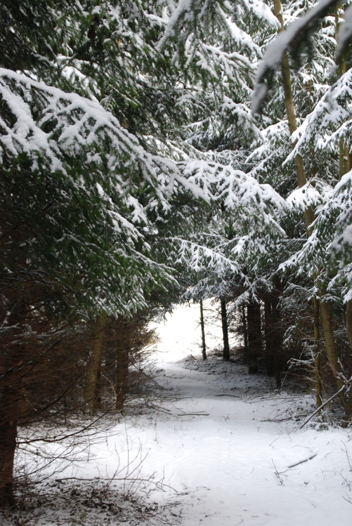 DSC_0032.JPG