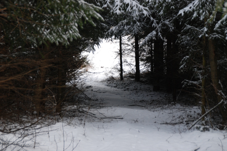 DSC_0033.JPG