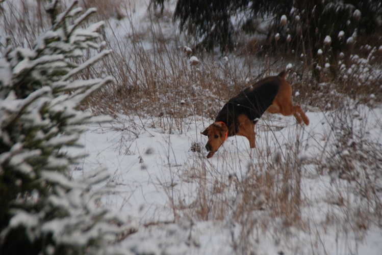 DSC_0039.JPG