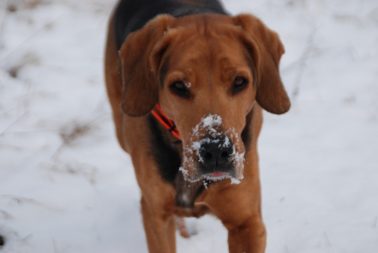 DSC_0042.JPG