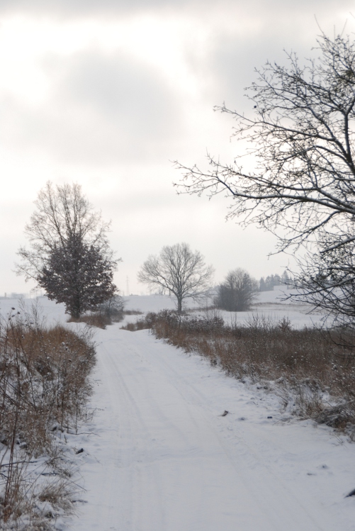 DSC_0054.JPG